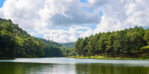 Pang-ung lake in Maehongson,Thailand.