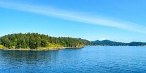 A wide angle shot of trees growing on the mountains in front of the water